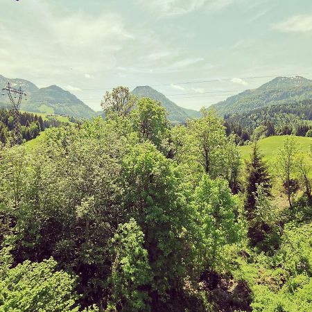 Ferienwohnung Grabner Fieberbrunn Luaran gambar